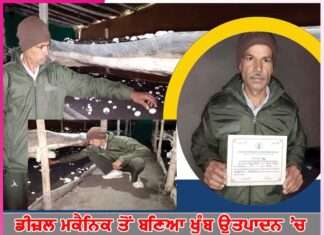 Mushroom Farmers: ਡੀਜ਼ਲ ਮਕੈਨਿਕ ਤੋਂ ਬਣਿਆ ਖੁੰਬ ਉਤਪਾਦਨ ’ਚ ਅਗਾਂਹਵਧੂ ਕਿਸਾਨ Mushroom Farmers