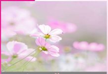 ਖੁਦ ਤੋਂ ਖੁਦ ਤੱਕ ਦਾ ਸਫ਼ਰ journey