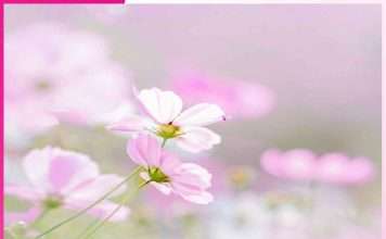 ਖੁਦ ਤੋਂ ਖੁਦ ਤੱਕ ਦਾ ਸਫ਼ਰ journey