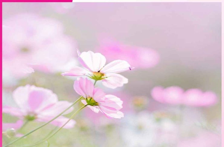 ਖੁਦ ਤੋਂ ਖੁਦ ਤੱਕ ਦਾ ਸਫ਼ਰ journey