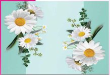 ਜੀਵਨ ਦੀ ਡੋਰ thread of life