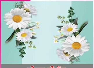 ਜੀਵਨ ਦੀ ਡੋਰ thread of life