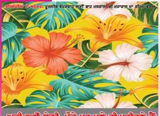 Experiences of Satsangis