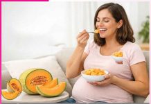 Melon: ਸਿਹਤ ਦਾ ਸਾਥੀ ਖਰਬੂਜ਼ਾ Melon