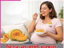 Melon