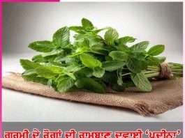 Mint