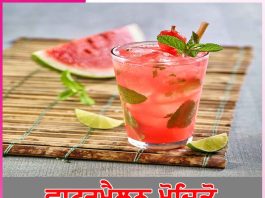 Watermelon Mojito