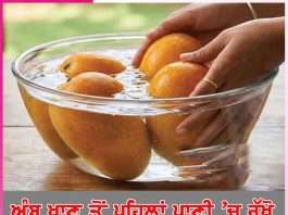 Mango: ਅੰਬ ਖਾਣ ਤੋਂ ਪਹਿਲਾਂ ਪਾਣੀ ’ਚ ਰੱਖੋ Mango