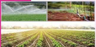 Modern irrigation: ਆਧੁਨਿਕ ਸਿੰਚਾਈ ਡਰਿੱਪ-ਸਪ੍ਰਿੰਕਲਰ ਸਿਸਟਮ Modern irrigation
