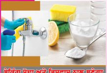 Baking soda: ਬੇਕਿੰਗ ਸੋਢਾ ਅਤੇ ਡਿਸ਼ਵਾਸ਼ ਨਾਲ ਬਣੇਗਾ ਚਮਤਕਾਰੀ ਕਲੀਨਿੰਗ ਪੇਸਟ Baking soda