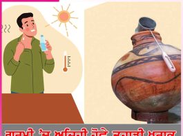 Diet in Summer: ਗਰਮੀ ’ਚ ਅਜਿਹੀ ਹੋਵੇ ਤੁਹਾਡੀ ਖੁਰਾਕ Diet in Summer