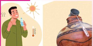 Diet in Summer: ਗਰਮੀ ’ਚ ਅਜਿਹੀ ਹੋਵੇ ਤੁਹਾਡੀ ਖੁਰਾਕ Diet in Summer