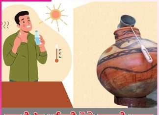 Diet in Summer: ਗਰਮੀ ’ਚ ਅਜਿਹੀ ਹੋਵੇ ਤੁਹਾਡੀ ਖੁਰਾਕ Diet in Summer
