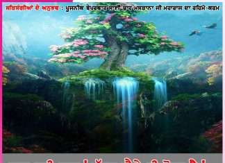 Experiences of Satsangis