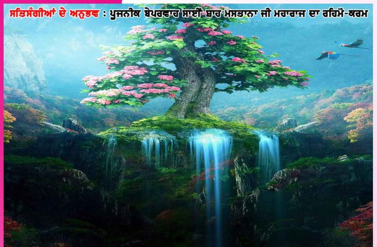 Experiences of Satsangis: ਵਾਹ ਭਈ ਵਾਹ! ਪੁੱਟਰ ਐਸੇ ਹੀ ਹੋਤਾ ਹੈ!…ਸਤਿਸੰਗੀਆਂ ਦੇ ਅਨੁਭਵ Experiences of Satsangis