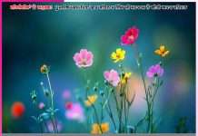 Experiences of Satsangis: ਉਹ ਟਿੱਬਿਆਂ ’ਤੇ ਵੀ ਪਾਣੀ ਚੜ੍ਹਾ ਦਿੰਦਾ ਹੈ – ਸਤਿਸੰਗੀਆਂ ਦੇ ਅਨੁਭਵ Experiences of Satsangis