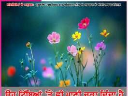 Experiences of Satsangis: ਉਹ ਟਿੱਬਿਆਂ ’ਤੇ ਵੀ ਪਾਣੀ ਚੜ੍ਹਾ ਦਿੰਦਾ ਹੈ – ਸਤਿਸੰਗੀਆਂ ਦੇ ਅਨੁਭਵ Experiences of Satsangis