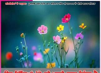 Experiences of Satsangis: ਉਹ ਟਿੱਬਿਆਂ ’ਤੇ ਵੀ ਪਾਣੀ ਚੜ੍ਹਾ ਦਿੰਦਾ ਹੈ – ਸਤਿਸੰਗੀਆਂ ਦੇ ਅਨੁਭਵ Experiences of Satsangis