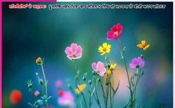Experiences of Satsangis