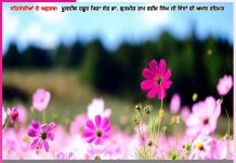 Experiences of Satsangis: ਮਾਲਕ ਖੁਦ ਸੰਵਾਰਦੇ ਹਨ ਸੇਵਾਦਾਰ ਦੇ ਸਭ ਕਾਜ਼ -ਸਤਿਸੰਗੀਆਂ ਦੇ ਅਨੁਭਵ Experiences of Satsangis