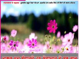 Experiences of Satsangis