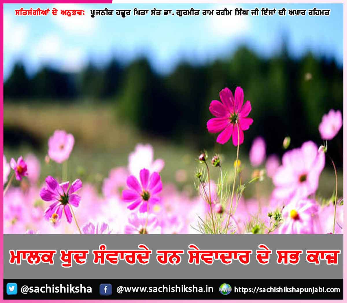 Experiences of Satsangis (3) Experiences of Satsangis