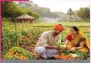 Organic farming
