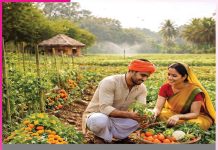 Organic farming: ਘੱਟ ਲਾਗਤ ’ਚ ਆਮਦਨ ਵਧਾਉਣ ਦਾ ਜ਼ਰੀਆ ਜੈਵਿਕ ਖੇਤੀ Organic farming