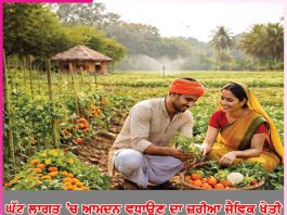 Organic farming
