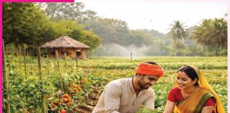 Organic farming: ਘੱਟ ਲਾਗਤ ’ਚ ਆਮਦਨ ਵਧਾਉਣ ਦਾ ਜ਼ਰੀਆ ਜੈਵਿਕ ਖੇਤੀ Organic farming