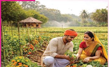 Organic farming: ਘੱਟ ਲਾਗਤ ’ਚ ਆਮਦਨ ਵਧਾਉਣ ਦਾ ਜ਼ਰੀਆ ਜੈਵਿਕ ਖੇਤੀ Organic farming