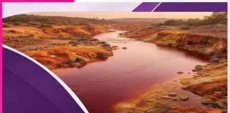 Rivers: ਅਜਿਹਾ ਵੀ ਹੈ… ਕਿਤੇ ਖਾਰੀਆਂ, ਤਾਂ ਕਿਤੇ ਸ਼ਹਿਦ ਵਾਂਗ ਮਿੱਠੀਆਂ ਹਨ ਨਦੀਆਂ Rivers