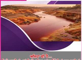 Rivers: ਅਜਿਹਾ ਵੀ ਹੈ… ਕਿਤੇ ਖਾਰੀਆਂ, ਤਾਂ ਕਿਤੇ ਸ਼ਹਿਦ ਵਾਂਗ ਮਿੱਠੀਆਂ ਹਨ ਨਦੀਆਂ Rivers