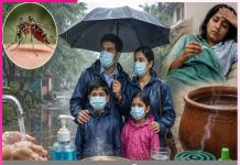 Monsoon: ਮਾਨਸੂਨ ਦੀ ਖੁਮਾਰੀ, ਪੈ ਨਾ ਜਾਵੇ ਭਾਰੀ monsoons