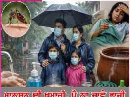 Monsoon: ਮਾਨਸੂਨ ਦੀ ਖੁਮਾਰੀ, ਪੈ ਨਾ ਜਾਵੇ ਭਾਰੀ monsoons