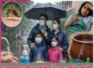 Monsoon: ਮਾਨਸੂਨ ਦੀ ਖੁਮਾਰੀ, ਪੈ ਨਾ ਜਾਵੇ ਭਾਰੀ monsoons