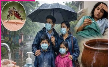 Monsoon: ਮਾਨਸੂਨ ਦੀ ਖੁਮਾਰੀ, ਪੈ ਨਾ ਜਾਵੇ ਭਾਰੀ monsoons
