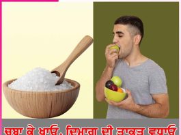 Chew and Eat: ਚਬਾ ਕੇ ਖਾਓ, ਦਿਮਾਗ ਦੀ ਤਾਕਤ ਵਧਾਓ