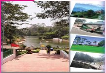 Ranikhet: ਕੁਦਰਤ ਦੀ ਅਨੋਖੀ ਸੁੰਦਰਤਾ ਰਾਣੀਖੇਤ