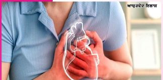 Chest Pain: ਛਾਤੀ ਦੇ ਦਰਦ ਨੂੰ ਅਣਦੇਖਿਆ ਨਾ ਕਰੋ Chest Pain