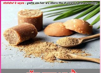 Experiences of Satsangis: ਚੱਲ ਗੁੜ ਖਾ ਲੈ’ -ਸਤਿਸੰਗੀਆਂ ਦੇ ਅਨੁਭਵ Experiences of Satsangis