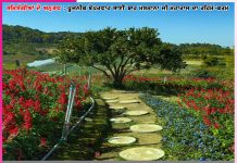 Experiences of Satsangis: ਖਬਰਦਾਰ! ਕਿਸੇ ਨੂੰ ਨਹੀਂ ਦੱਸਣਾ!- ਸਤਿਸੰਗੀਆਂ ਦੇ ਅਨੁਭਵ