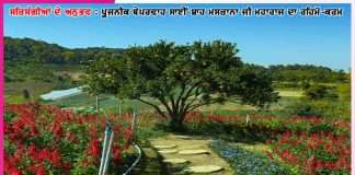 Experiences of Satsangis: ਖਬਰਦਾਰ! ਕਿਸੇ ਨੂੰ ਨਹੀਂ ਦੱਸਣਾ!- ਸਤਿਸੰਗੀਆਂ ਦੇ ਅਨੁਭਵ