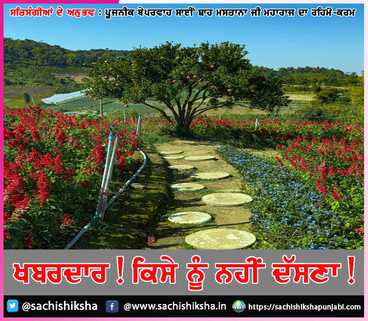 Experiences of Satsangis