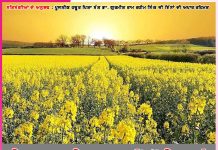 Experiences of Satsangis: ਬੇਟਾ, ਆਪ੍ਰੇਸ਼ਨ ਨਹੀਂ ਹੋਵੇਗਾ!’ -ਸਤਿਸੰਗੀਆਂ ਦੇ ਅਨੁਭਵ Experiences of Satsangis