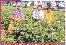 Farming to Cash Crops: ਰਿਵਾਇਤੀ ਖੇਤੀ ਨਾਲ ਨਗਦੀ ਫਸਲਾਂ ਨੂੰ ਤਰਜ਼ੀਹ ਦੇਣ ਲੱਗਾ ਕੈਲਾਸ਼ Farming to Cash Crops