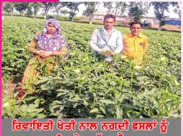 Farming to Cash Crops: ਰਿਵਾਇਤੀ ਖੇਤੀ ਨਾਲ ਨਗਦੀ ਫਸਲਾਂ ਨੂੰ ਤਰਜ਼ੀਹ ਦੇਣ ਲੱਗਾ ਕੈਲਾਸ਼ Farming to Cash Crops