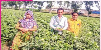 Farming to Cash Crops: ਰਿਵਾਇਤੀ ਖੇਤੀ ਨਾਲ ਨਗਦੀ ਫਸਲਾਂ ਨੂੰ ਤਰਜ਼ੀਹ ਦੇਣ ਲੱਗਾ ਕੈਲਾਸ਼ Farming to Cash Crops