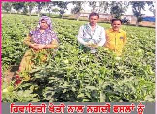 Farming to Cash Crops