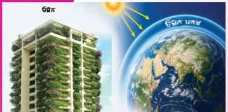 Ozone Day: ਜੀਵਨ ਦਾ ਸੁਰੱਖਿਆ ਚੱਕਰ ਓਜ਼ੋਨ ਪਰਤ World ozone day
